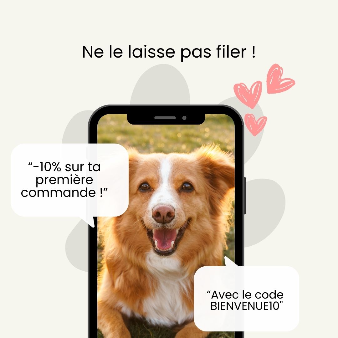 Nettoyeur de pattes de chien