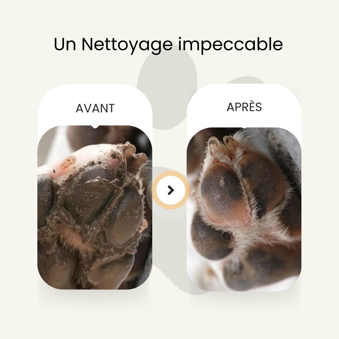 Nettoyeur de pattes de chien