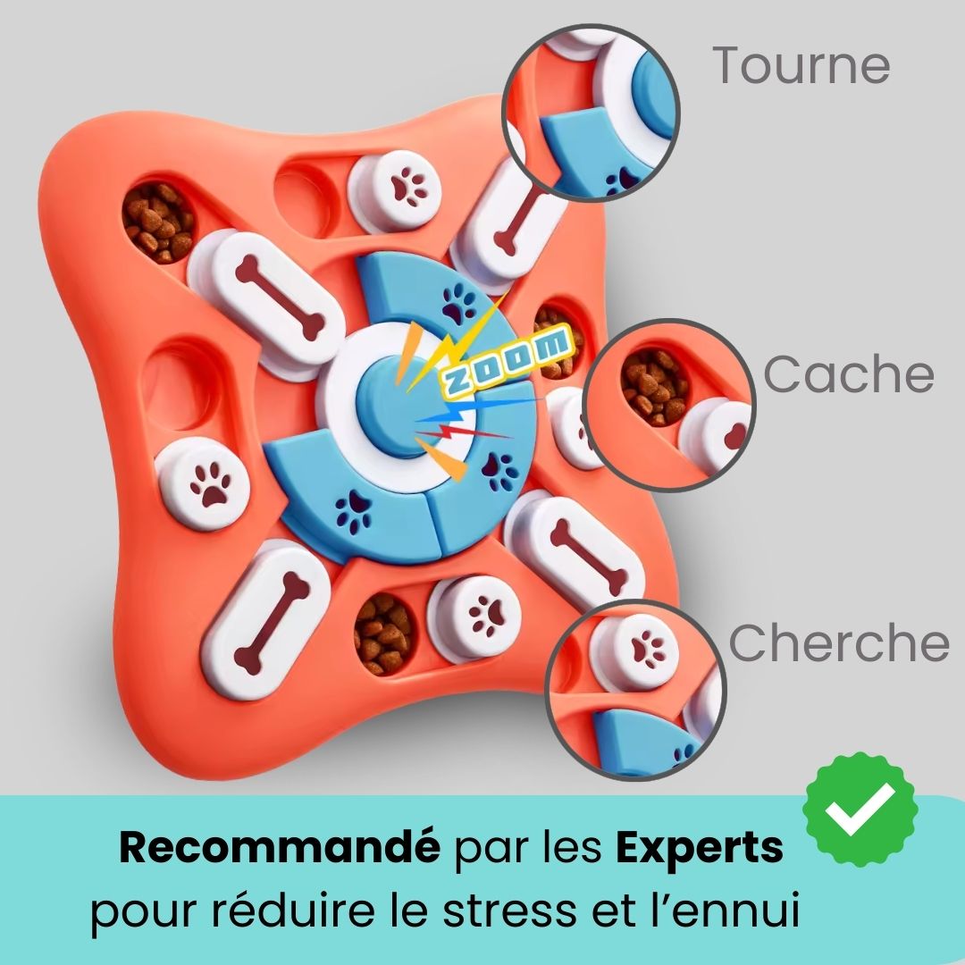 Puzzle Toys
