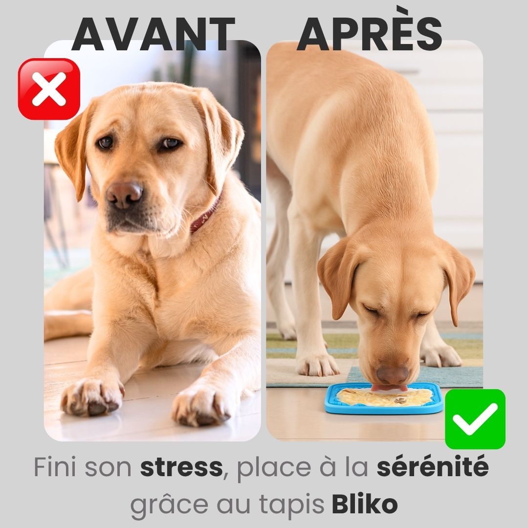 Tapis apaisant Bliko