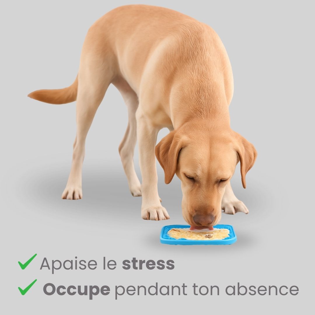 Tapis apaisant Bliko