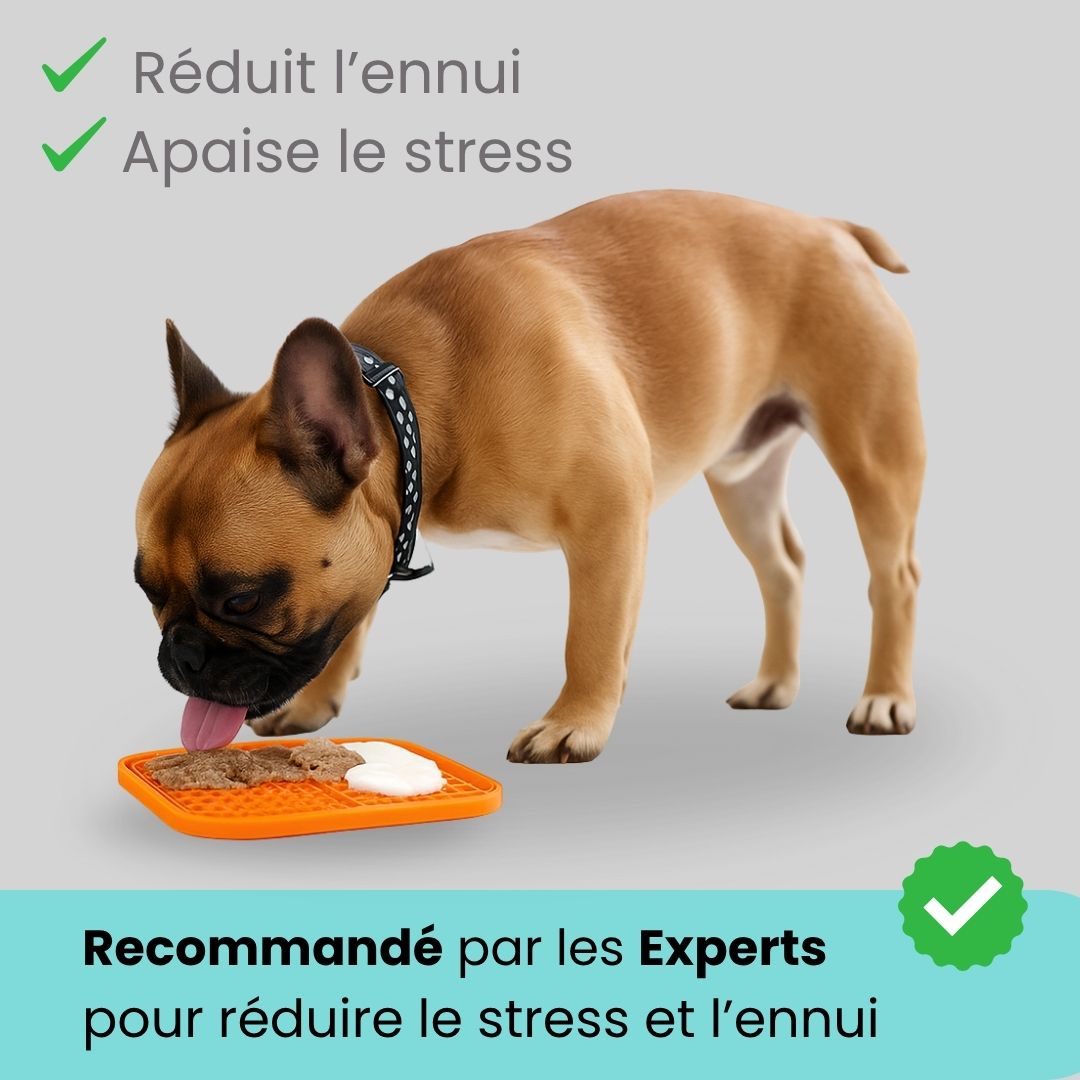 Tapis apaisant Bliko