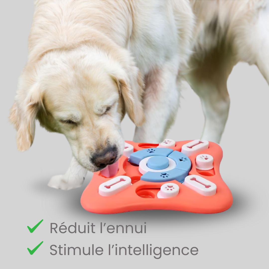 Puzzle Toys