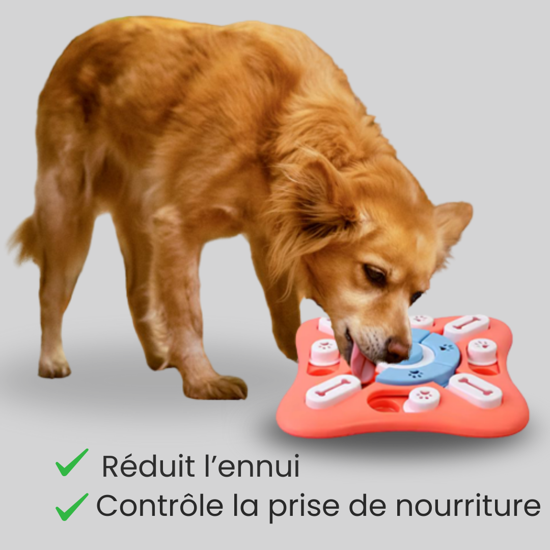 Puzzle Toys
