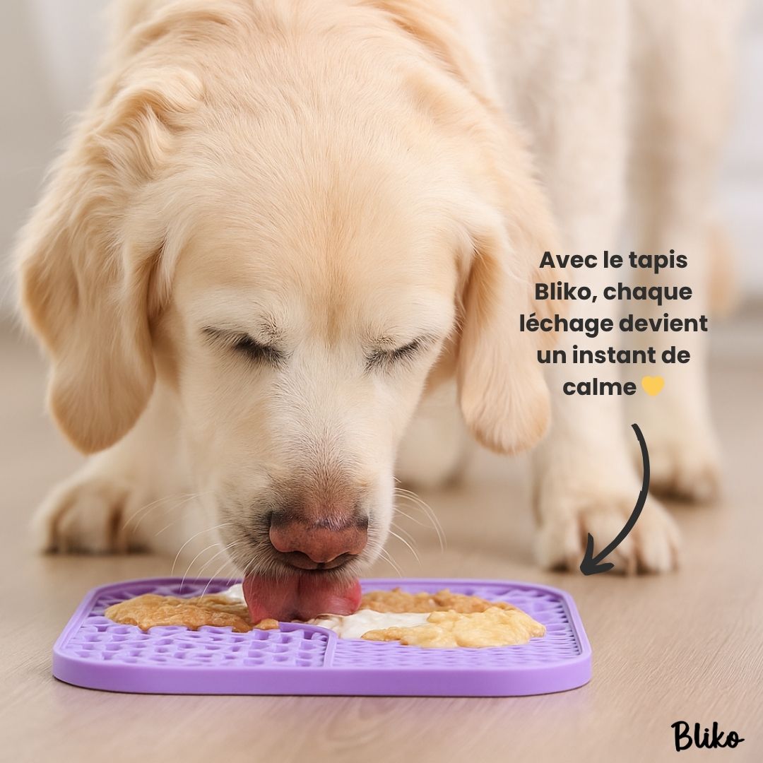 Tapis apaisant Bliko