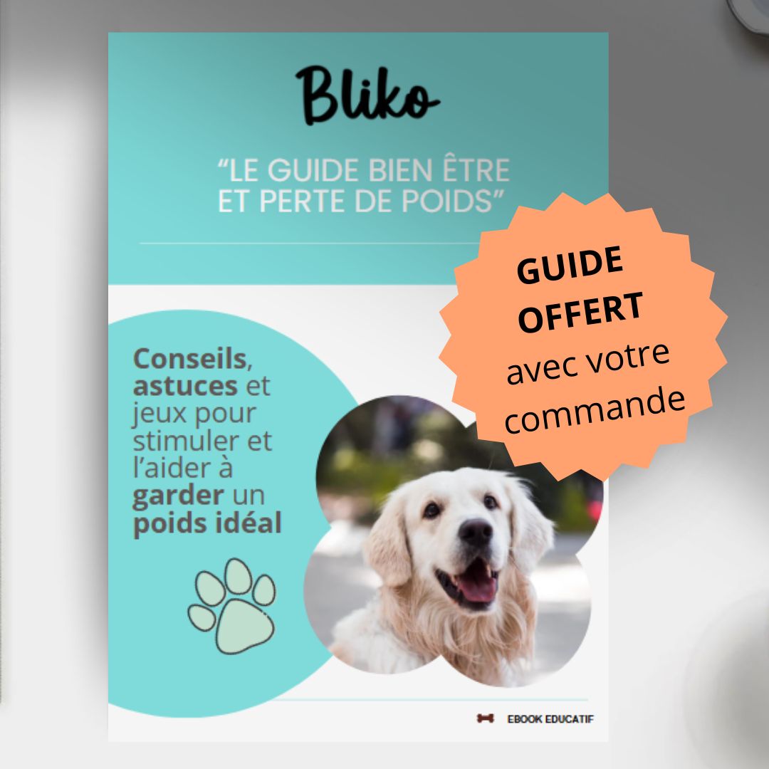 Puzzle Toys - Perte de poids