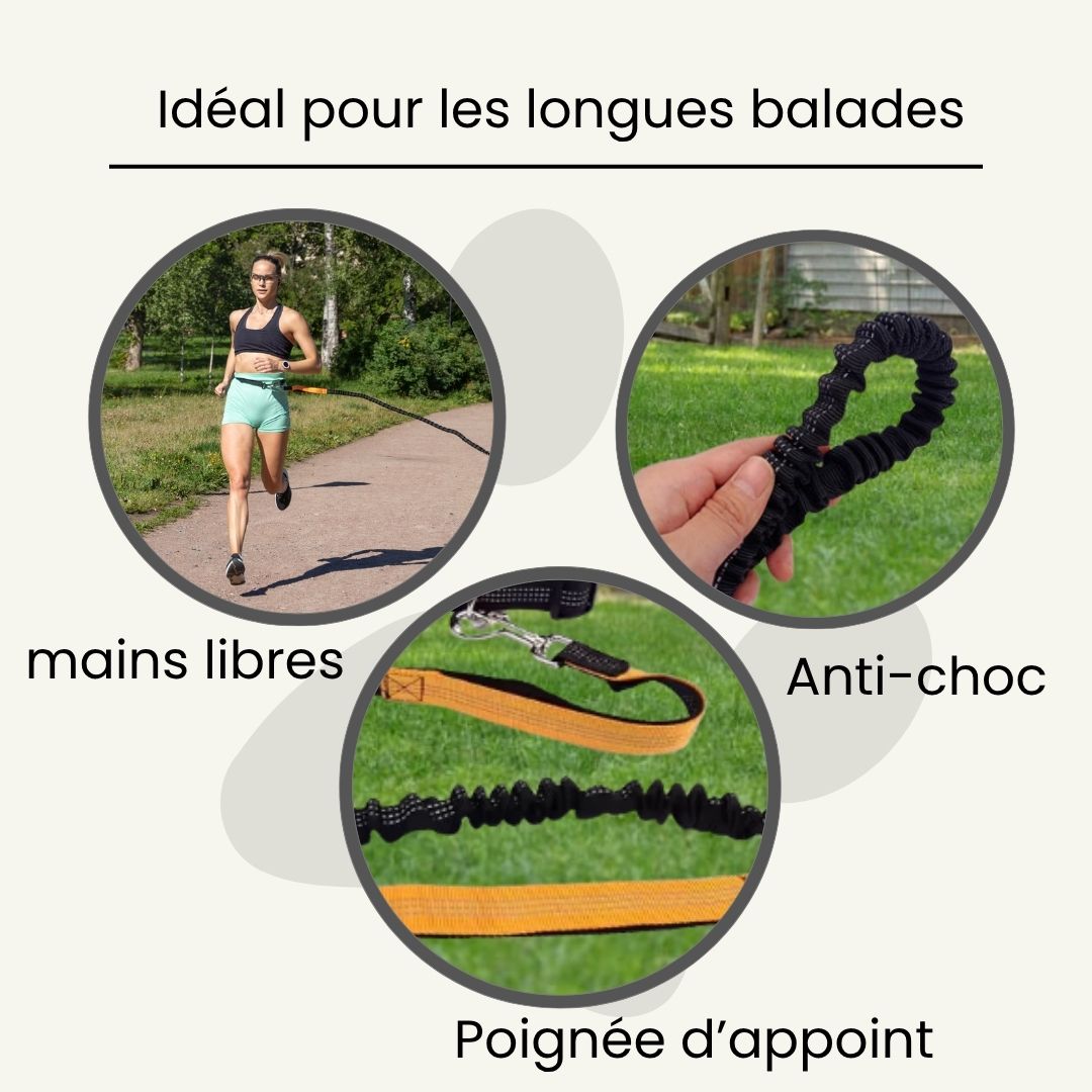 Laisse Mains-libres