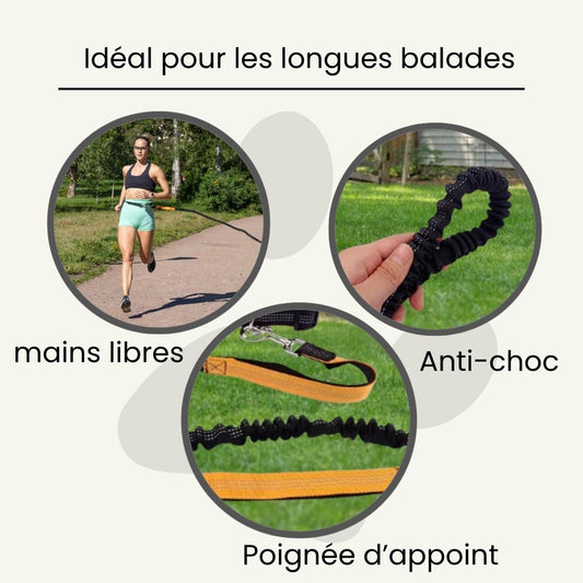 Laisse Mains-libres