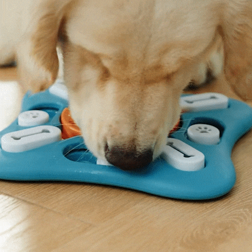 Puzzle Toys - Perte de poids