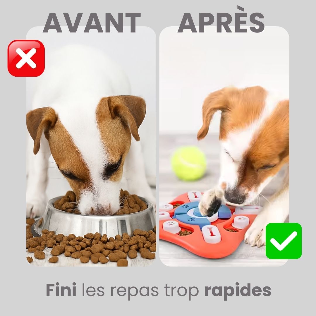 Puzzle Toys - Perte de poids