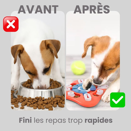 Puzzle Toys - Perte de poids