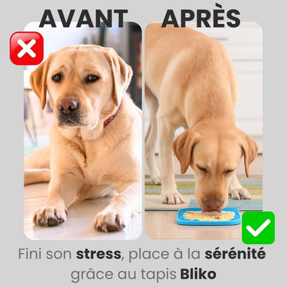 Tapis apaisant Bliko