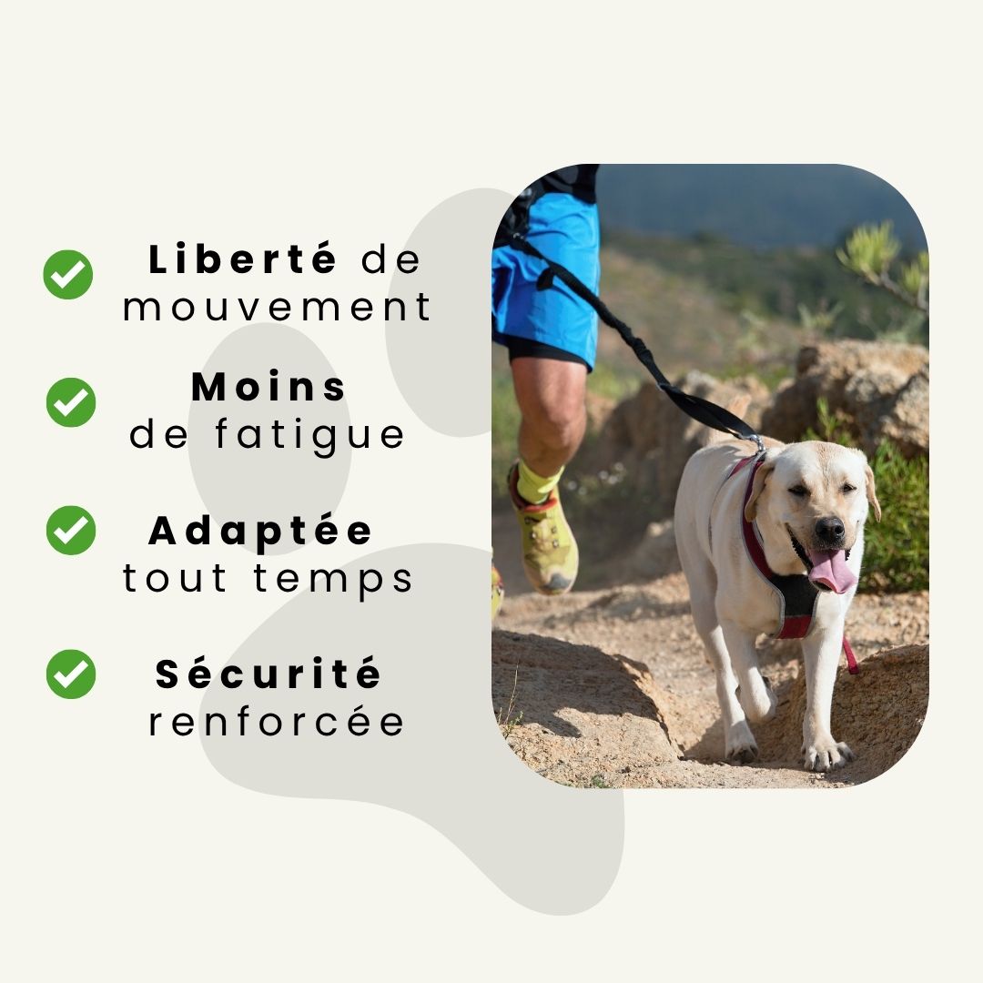 Laisse Mains-libres