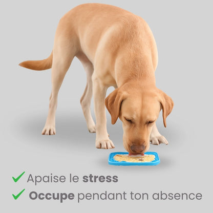 Tapis apaisant Bliko