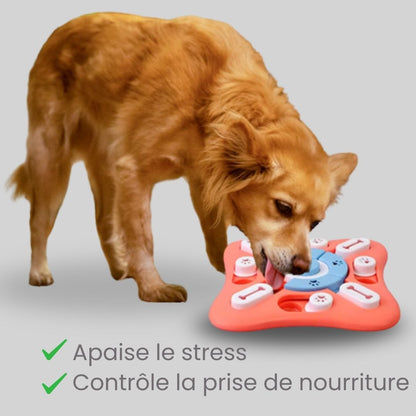 Puzzle Toys - Perte de poids