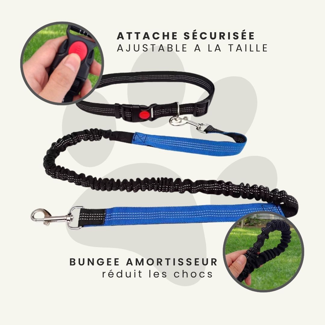 Laisse Mains-libres