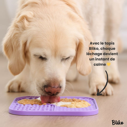 Tapis apaisant Bliko